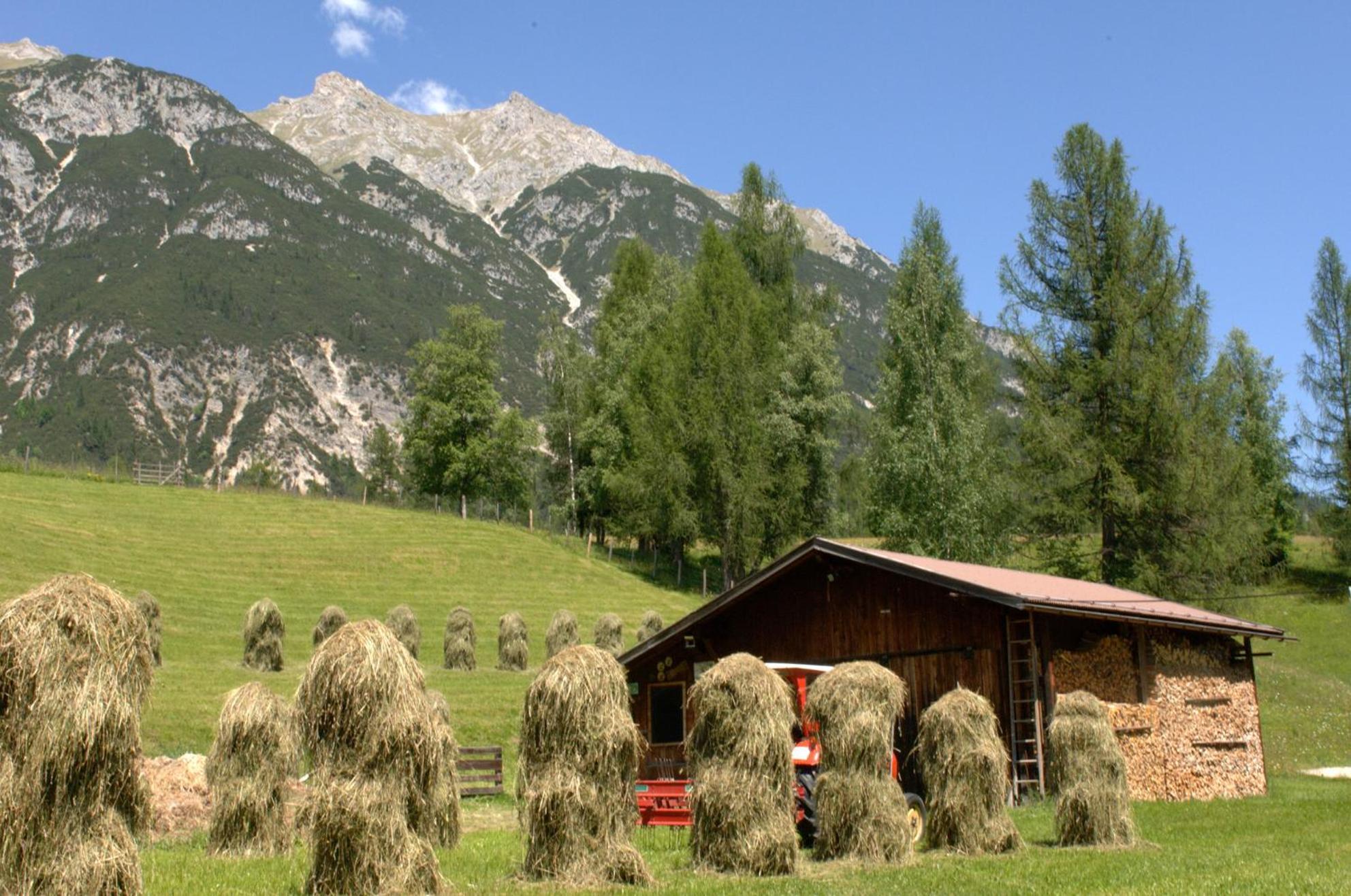 Haus Elisengrund Am Geigenbuehel - Chalet Prive Seefeld in Tirol Exterior foto